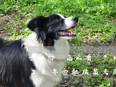 金融形勢怎么看？如何管？——透視2020年金融政策走向